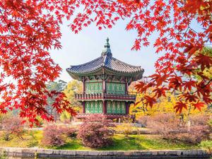 Những trải nghiệm thú vị khi đến Hàn Quốc mùa thu