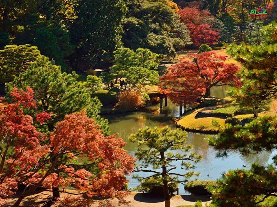 Những địa điểm Không thể bỏ qua khi đến Nhật Bản mùa thu