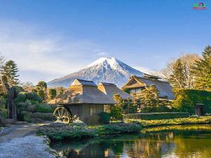 Ngôi làng hàng trăm năm tuổi sừng sửng dưới chân núi Phú Sĩ