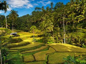  Ký ức tuyệt đẹp trên đảo thần tiên Bali