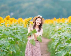 Say mê trước vẻ đẹp của cánh đồng hoa hướng dương siêu đẹp vào mùa thu Nhật Bản