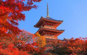 Cố đô Kyoto, Nhật Bản mùa thu