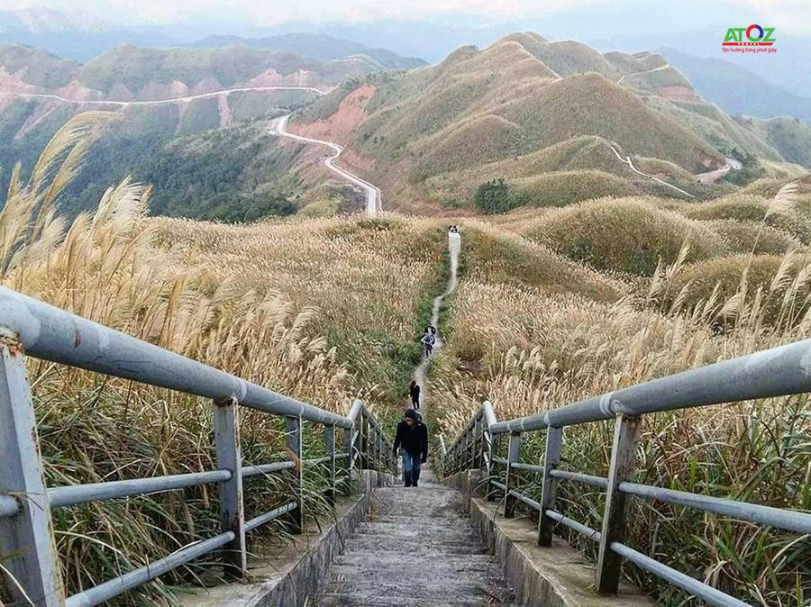 Tháng 10 có hẹn với cánh đồng cỏ bông lau Quảng Ninh