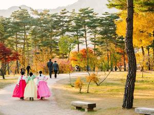 Thuê hanbok ở Hàn Quốc cần lưu ý điều gì?