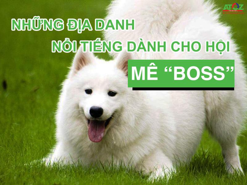 Những địa danh du lịch nổi tiếng dành cho hội mê "boss"