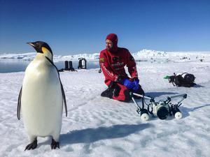 Kinh nghiệm cần chuẩn bị trước khi đi du lịch Nam Cực