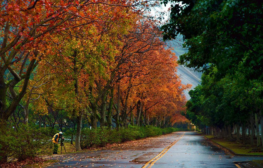 Những địa điểm ngắm lá phong cực kì lãng mạn ở Đài Loan (Phần 1)