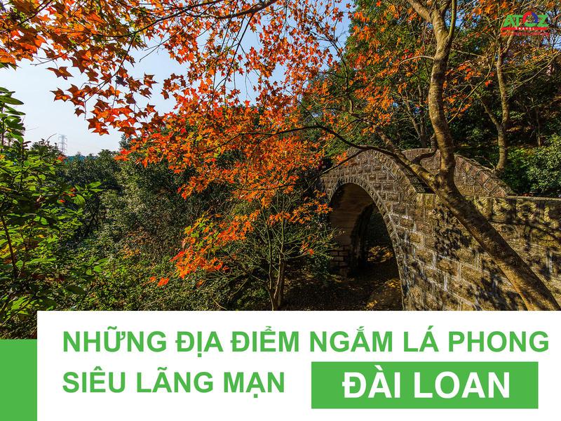 Những địa điểm ngắm lá phong cực kì lãng mạn ở Đài Loan