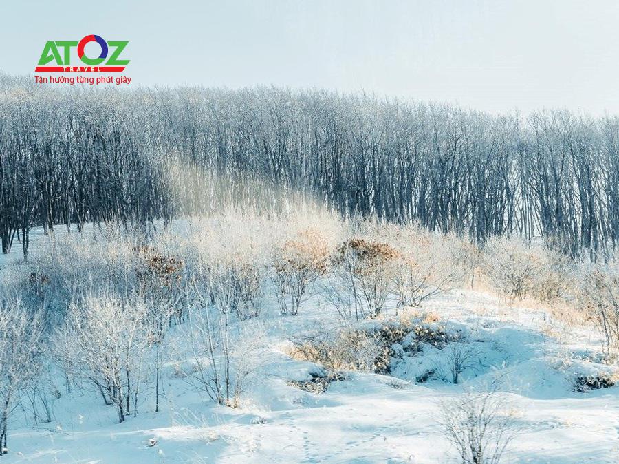 Chiêm ngưỡng vẻ đẹp huyền ảo “bụi kim cương” ở nơi lạnh giá nhất Nhật Bản