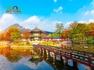 Tour Hàn Quốc mùa thu 2019: Seoul – Đảo Nami – Công viên Everland