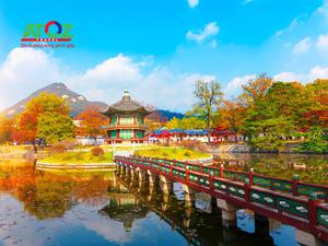 Tour Hàn Quốc mùa thu 2019: Seoul – Đảo Nami – Công viên Everland