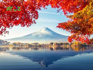 Tour Nhật Bản mùa thu:  TOKYO – YAMANASHI