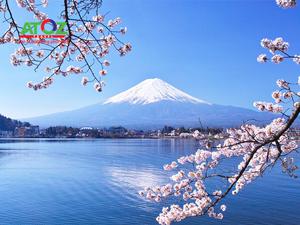 Tour Nhật Bản tết 2020 (mùng 2): OSAKA – KYOTO – TOYOHASHI – YAMANASHI – TOKYO