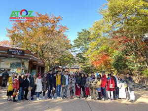 Tour Hàn Quốc mùa thu 2019: Seoul – Đảo Nami – Công viên Everland