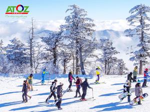 Tour trượt tuyết Hàn Quốc mùa đông: SEOUL – ĐẢO NAMI – ELYSIAN – LOTTE WORLD (VJ)