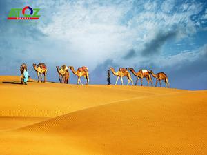 Tour Dubai: Dubai - Abu Dhabi