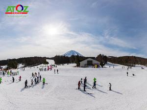 Tour Nhật Bản mùa hoa anh đào: Ibaraki – Yamanashi – Tokyo