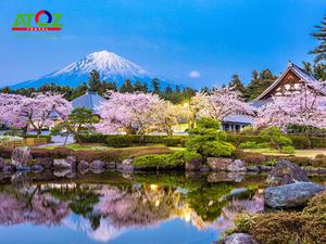 Tour Nhật Bản mùa hoa anh đào: Ibaraki – Yamanashi – Tokyo