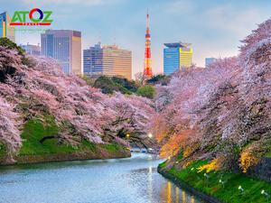 Tour Nhật Bản Cung Đường Vàng Mùa Hoa Anh Đào: Tokyo – Yamanashi – Fuji – Nagoya – Osaka – Kobe
