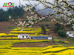 La Bình địa điểm không thể bỏ qua khi du lịch Trung Quốc vào mùa xuân