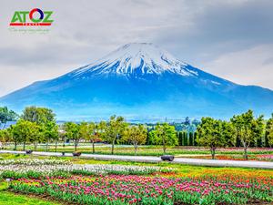 Tour Nhật Bản cung đường vàng mùa hè: Tokyo – Yamanashi – Toyohashi – Kyoto – Osaka – Kobe