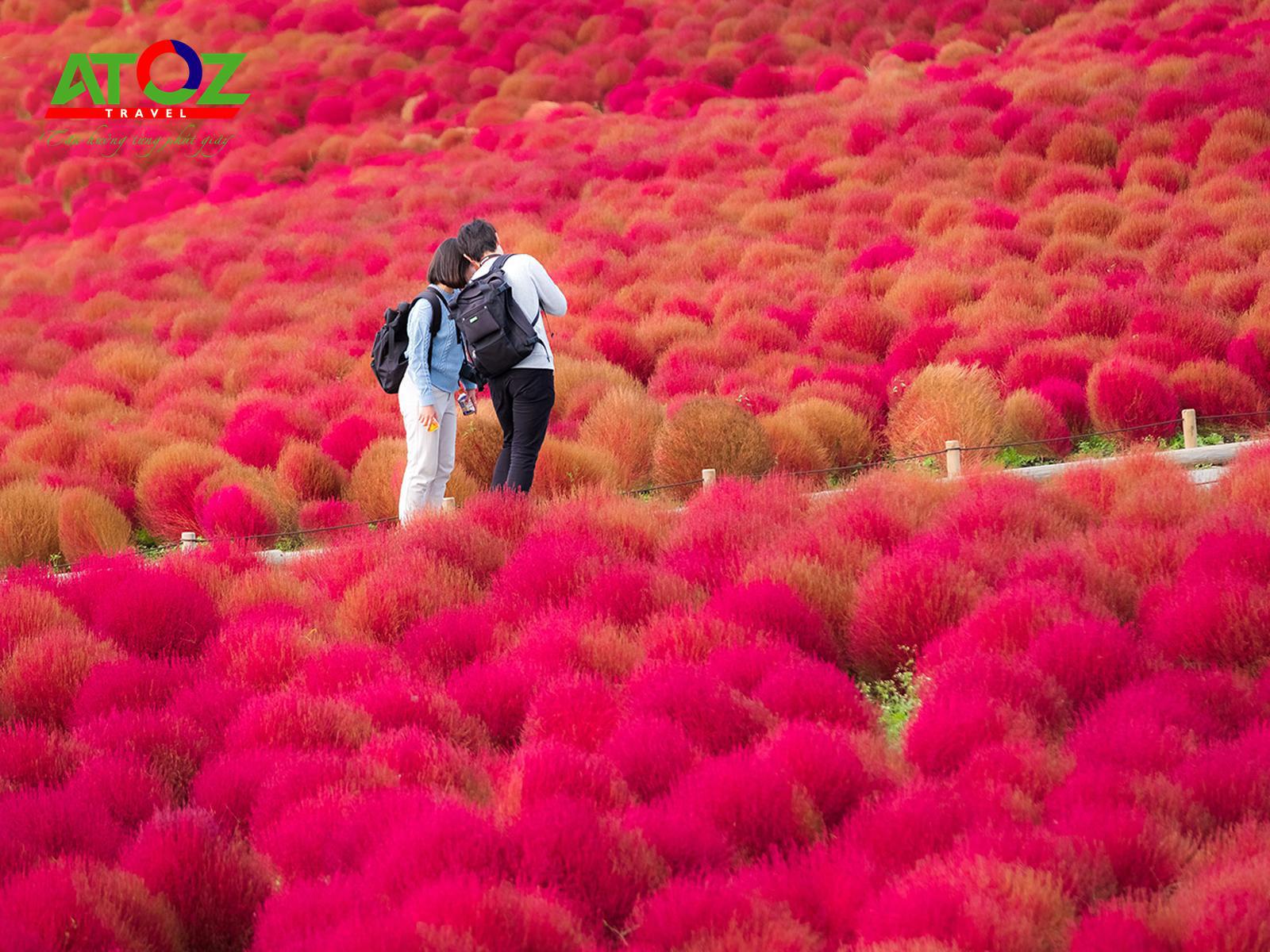 Tour Nhật Bản cung đường vàng mùa thu: Tokyo – Ibaraki – Yamanashi – Hamamatsu – Kyoto – Osaka – Kobe 