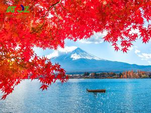 Tour Nhật Bản cung đường vàng mùa thu: Tokyo – Yamanashi – Toyohashi – Kyoto – Osaka – Kobe