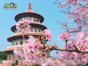 Ngắm hoa anh đào tại 5 địa điểm trong chuyến du lịch Đài Loan