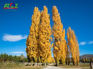 Tận hưởng vẻ đẹp và thư giãn vào mùa thu tại New Zealand