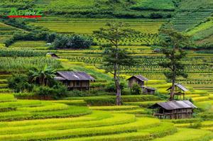 Tour Tây Bắc: TÚ LỆ - MÙ CANG CHẢI - LAI CHÂU - ĐIỆN BIÊN - MỘC CHÂU - MAI CHÂU 5 ngày 4 đêm