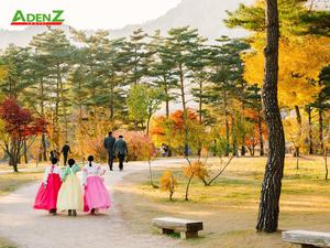 Tour Hàn Quốc mùa thu lá đỏ 2022: Seoul - Đảo Nami - Công viên Everland