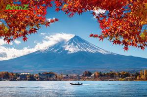 NHẬT BẢN MÙA THU LÁ ĐỎ 2022: YAMANASHI – FUJISAN – TOKYO – NARITA