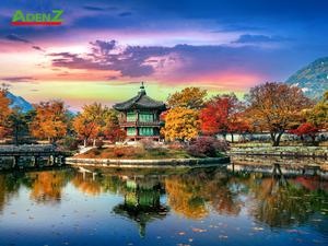 Tour Hàn Quốc mùa thu lá đỏ 2022: Seoul - Đảo Nami - Công viên Everland