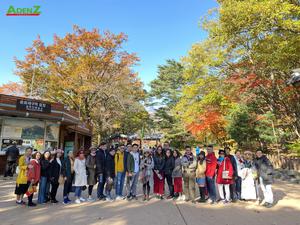Tour du lịch Hàn Quốc mùa thu lá đỏ 2022: Seoul - Đảo Nami - Công viên Everland