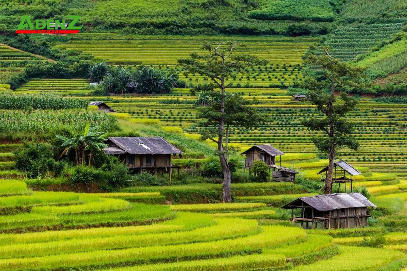 Tour du lịch YÊN BÁI – SƠN LA 2022: TÚ LỆ – RUỘNG BẬC THANG MÙ CANG CHẢI mùa lúa chín – SUỐI KHOÁNG NÓNG NGỌC CHIẾN