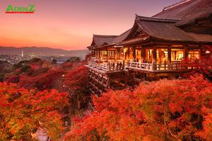 Mùa thu Nhật Bản với sắc hoa rực rỡ 