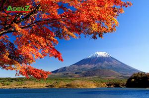 Nhật Bản - Mùa thu Lá đỏ - Khởi hành cuối năm 2022