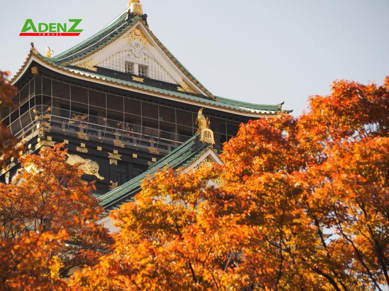 Tour NHẬT BẢN MÙA THU LÁ ĐỎ 2022: Cung đường Vàng OSAKA – KOBE – KYOTO – NAGOYA – YAMANASHI – TOKYO 