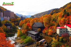 Nhật Bản mùa thu lá đỏ tuyến mới Hokkaido - Saitama - Gunma - Tokyo