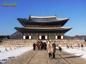 Tour Hàn Quốc tết 2023 (mùng 1, 2, 3): Seoul – Đảo Nami – Trượt tuyết – Lotte World