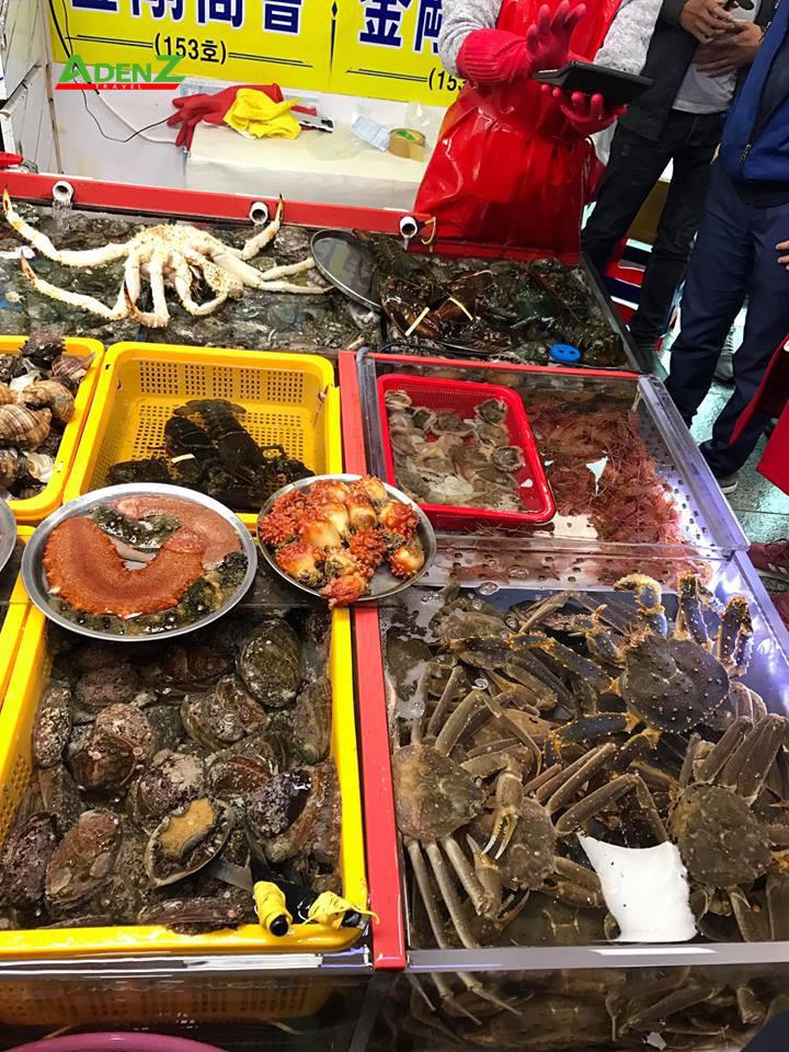 Tour Hàn Quốc tuyến mới Mùa đông- trượt tuyết: Busan - Gimhae - Daegu - Seoul - Đảo Nami 