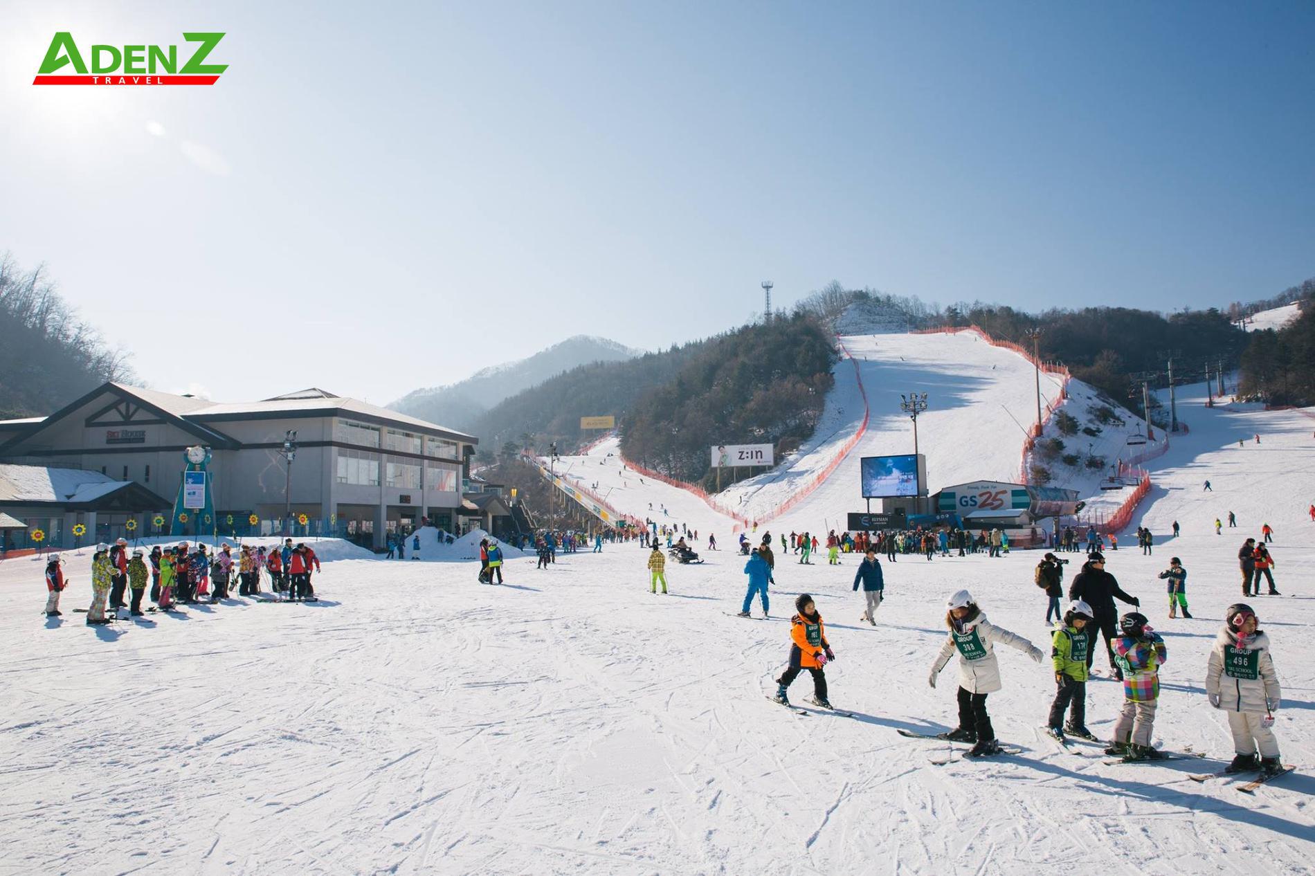 Tour Hàn Quốc Trượt tuyết_Xuân Quý Mão 2023_Khởi hành mùng 2 tết_ Bay Air Premia