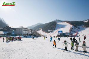 TOUR HÀN QUỐC ĐẢO JEJU - SEOUL - NAMI -TRƯỢT TUYẾT_ ĐÓN XUÂN QUÝ MÃO 2023