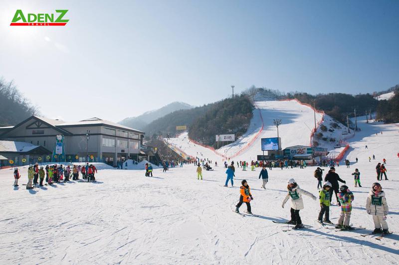 Tour Hàn Quốc Trượt tuyết_Xuân Quý Mão 2023_Khởi hành mùng 1 tết_ Bay Air Premia