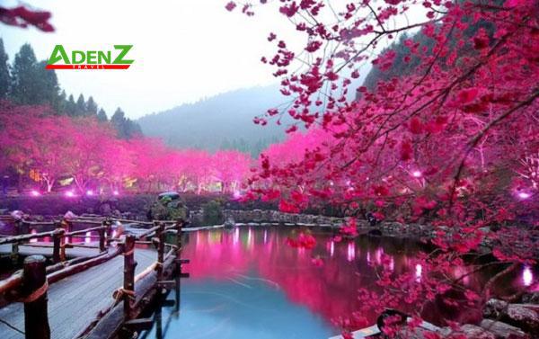 TOUR ĐÀI LOAN- TAIWAN TẾT QUÝ MÃO 2023