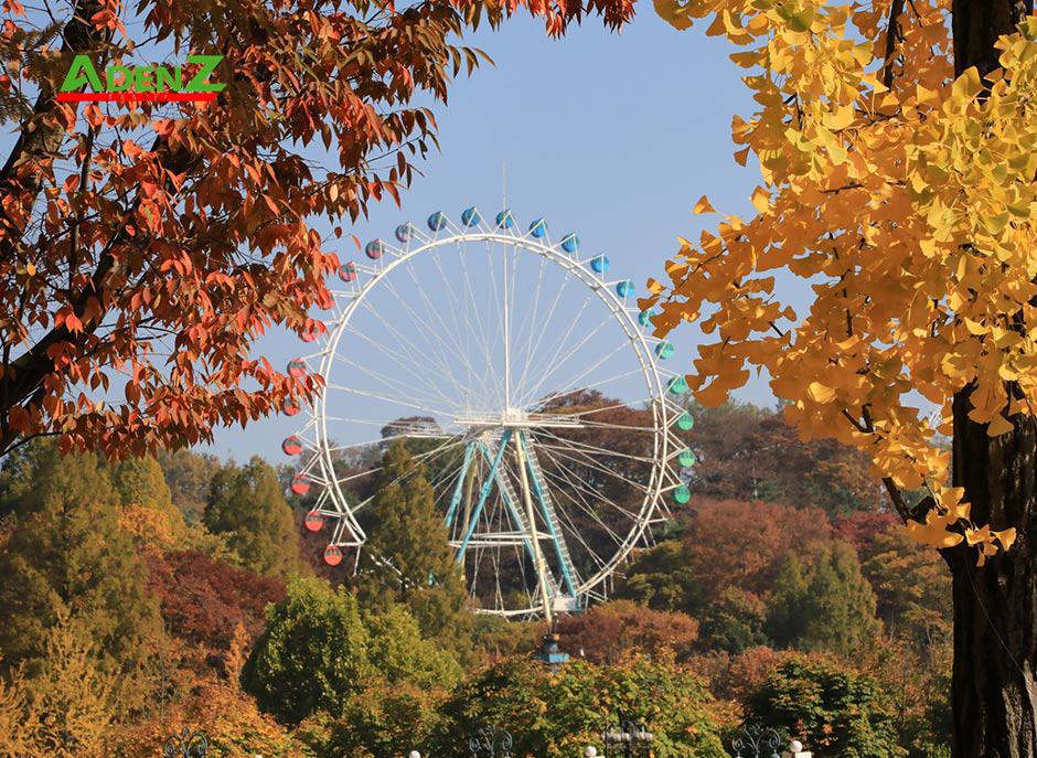 Tour du lịch HÀN QUỐC - KHÁM PHÁ MÙA THU HÀN QUỐC  SEOUL – ĐẢO NAMI – EVERLAND