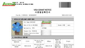 Dịch vụ visa Hàn Quốc single