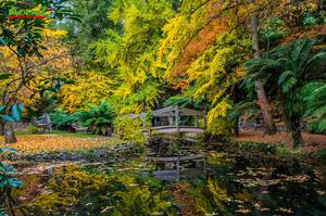 Tour du lịch Úc Melbourne - Sydney 7 Ngày 6 Đêm