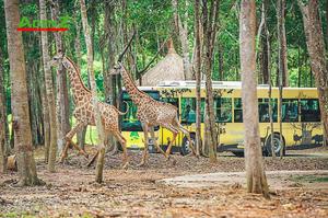 TOUR ĐẢO NGỌC PHÚ QUỐC VINWONDERS – VINPEARL SAFARI 2 NGÀY 1 ĐÊM