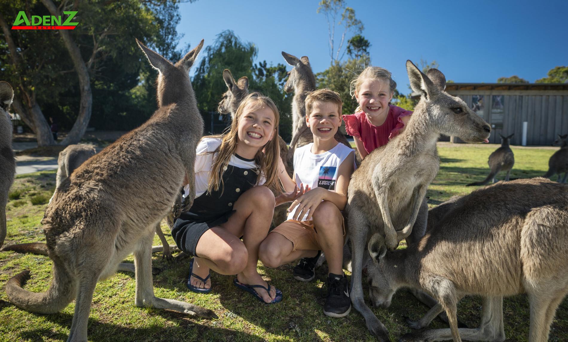 TOUR DU LỊCH NƯỚC ÚC KHÁM PHÁ SYDNEY - MELBOURNE 8 NGÀY 7 ĐÊM *